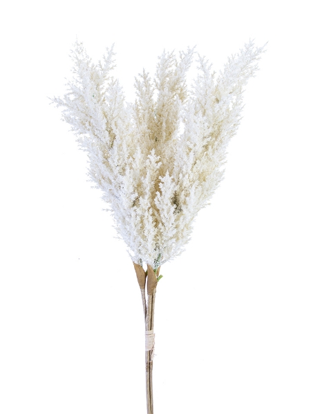 Picture of 36" PAMPAS GRASS BUNDLE