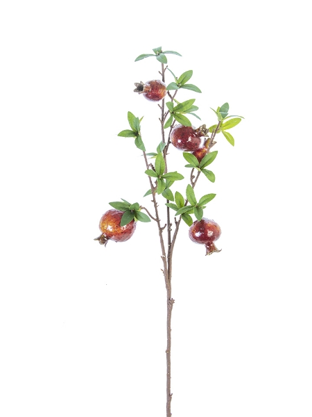 Picture of 35" POMEGRANATE BRANCH