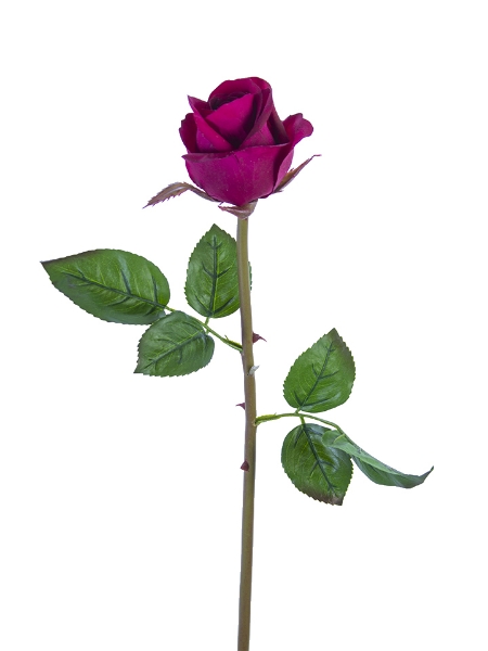 Picture of 23" ROSE BUD STEM