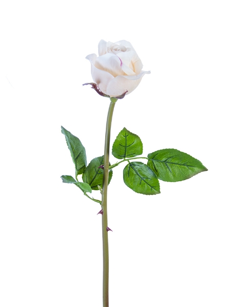 Picture of 23" ROSE BUD STEM