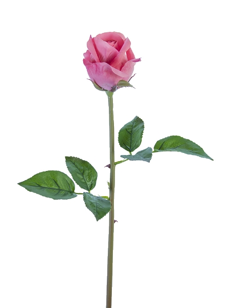 Picture of 23" ROSE BUD STEM