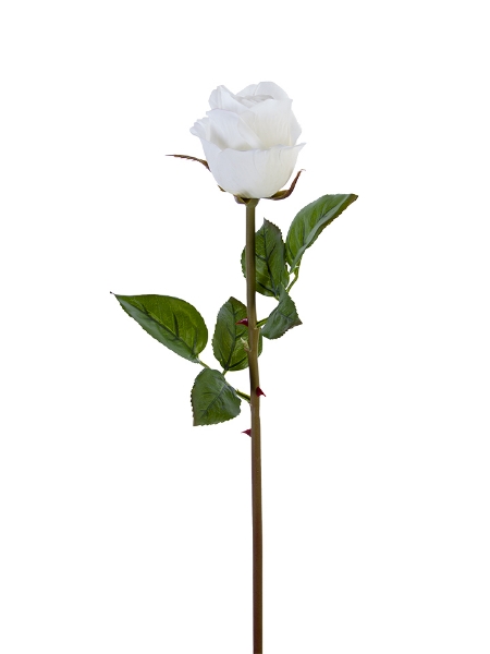 Picture of 23" ROSE BUD STEM