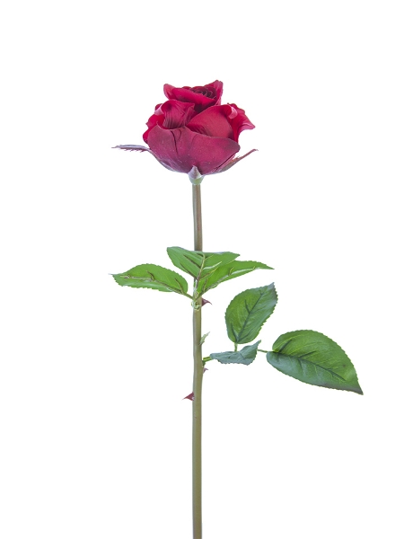 Picture of 23" ROSE BUD STEM