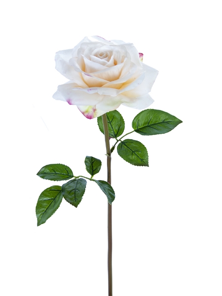 Picture of 27" OPEN ROSE STEM