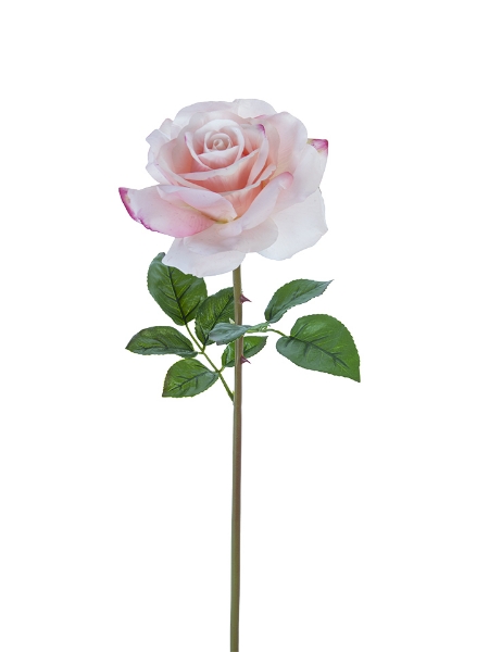 Picture of 27"OPEN ROSE STEM