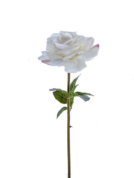 Picture of 27" OPEN ROSE STEM