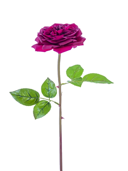 Picture of 24" GARDEN ROSE STEM