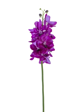 Picture of 27" REAL TOUCH VANDA ORCHID
