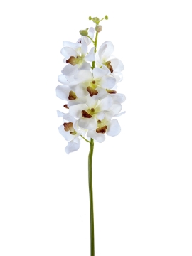 Picture of 27" REAL TOUCH VANDA ORCHID