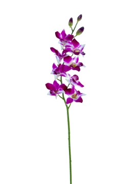 Picture of 27" REAL TOUCH DENDROBIUM ORCHID