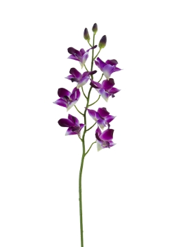 Picture of 27" REAL TOUCH DENDROBIUM ORCHID
