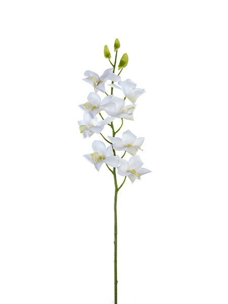 Picture of 27" DENDROBIUM ORCHID