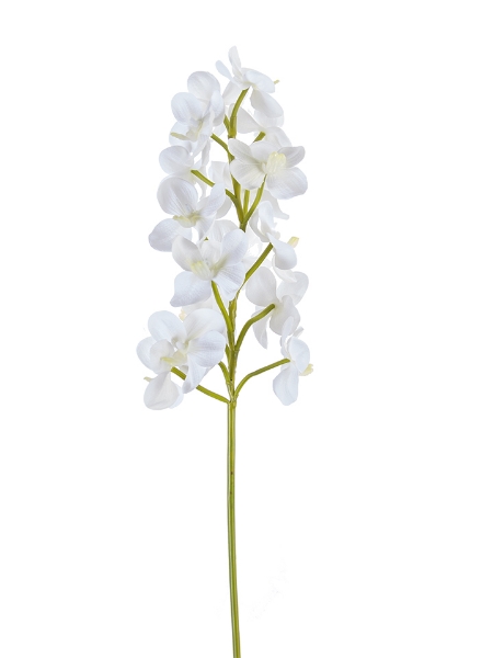 Picture of 29" ORCHID VANDA STEM