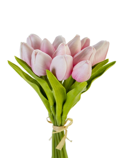 Picture of 10" TULIP BUNDLE