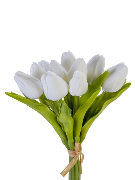 Picture of 10" TULIP BUNDLE