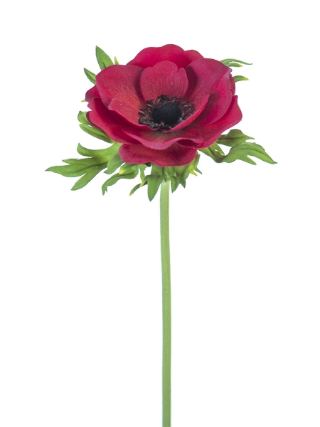 Picture of 22" POPPY ANEMONE