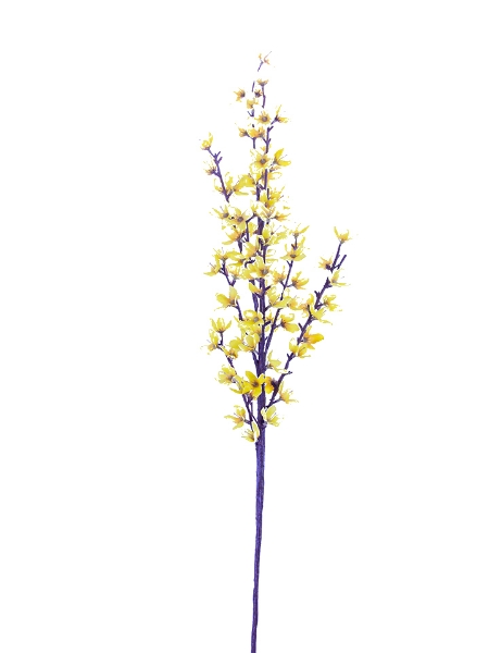 Picture of 44" FORSYTHIA STEM