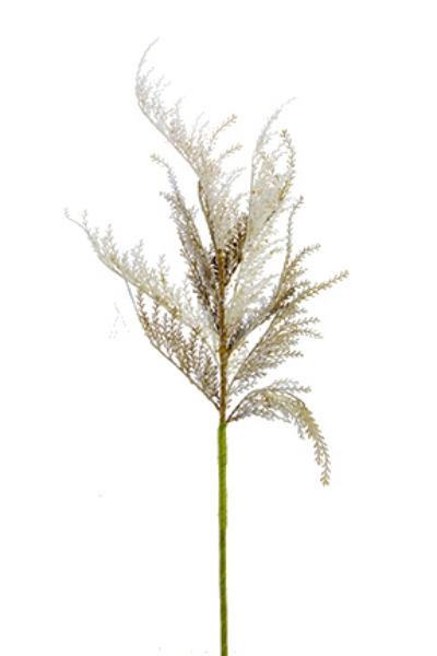 Picture of 42" PAMPAS GRASS SPRAY