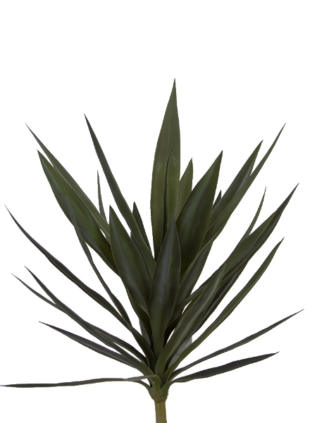 Picture of 30" YUCCA