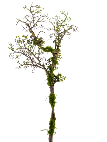 Picture of 36" TWIG MOSS BRANCH W/LVS