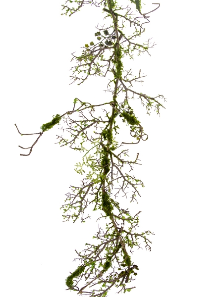 Picture of 53" TWIG MOSS GARLAND W/LVS