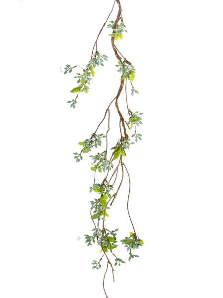 Picture of 62" SEEDED BERRY VINE