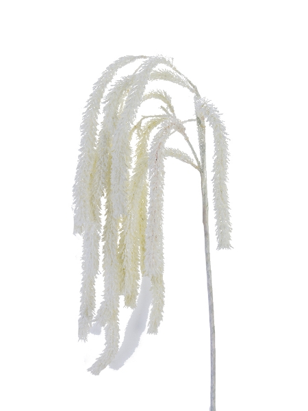 Picture of 43" HANGING AMARANTHUS