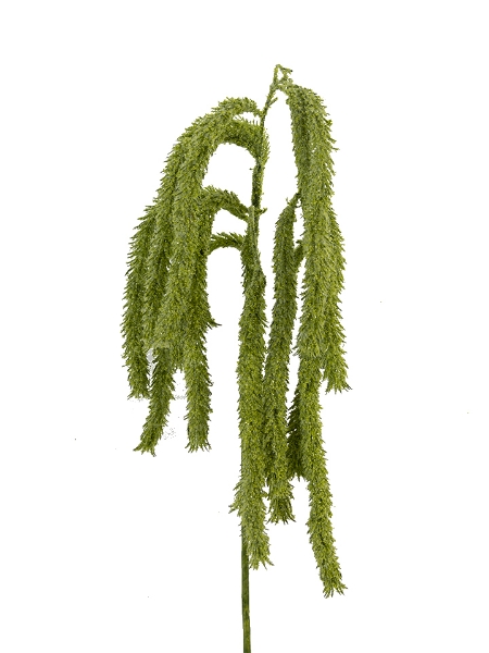 Picture of 43" HANGING AMARANTHUS