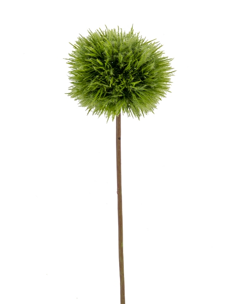 Picture of 25'' DANDELION SPRAY