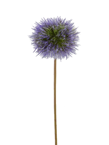 Picture of 25'' DANDELION SPRAY