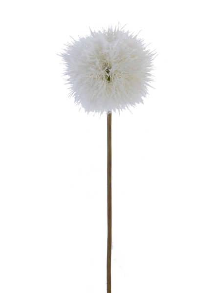 Picture of 25'' DANDELION SPRAY