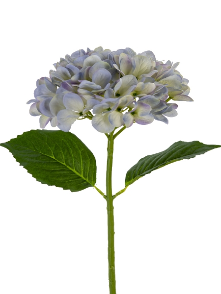 Picture of 19" MOPHEAD HYDRANGEA SPRAY