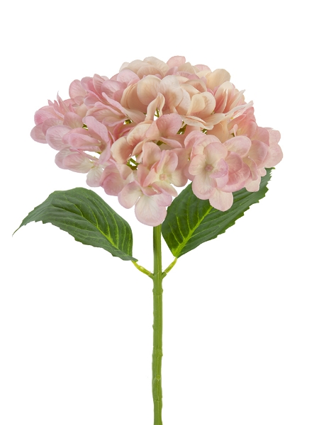 Picture of 19" MOPHEAD HYDRANGEA SPRAY