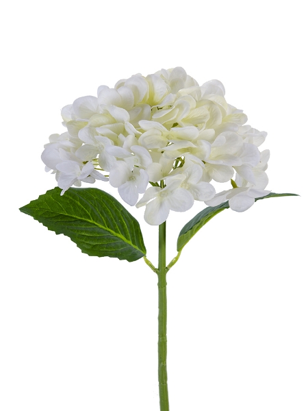 Picture of 19" MOPHEAD HYDRANGEA SPRAY