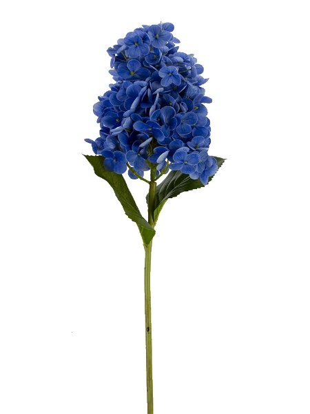 Picture of 29" CONE HYDRANGEA