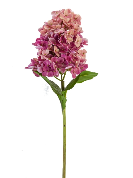 Picture of 29" CONE HYDRANGEA