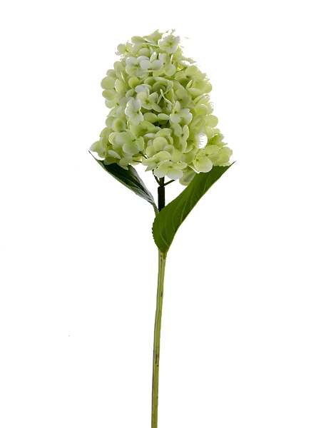 Picture of 29" CONE HYDRANGEA