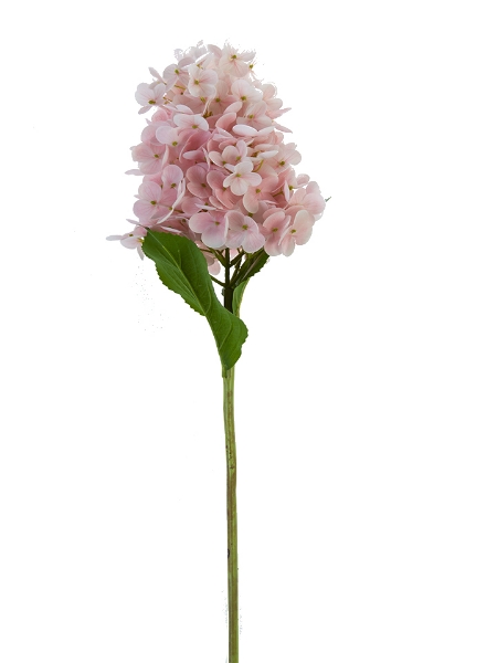 Picture of 29" CONE HYDRANGEA