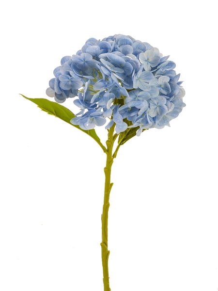 Picture of 19" REAL TOUCH HYDRANGEA