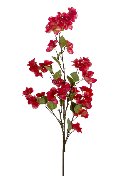 Picture of 54" BOUGAINVILLEA SPRAY