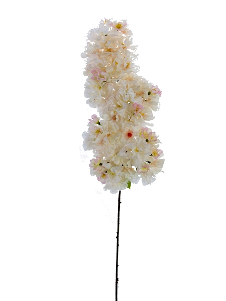 Picture of 39" HANGING CHERRY BLOSSOM