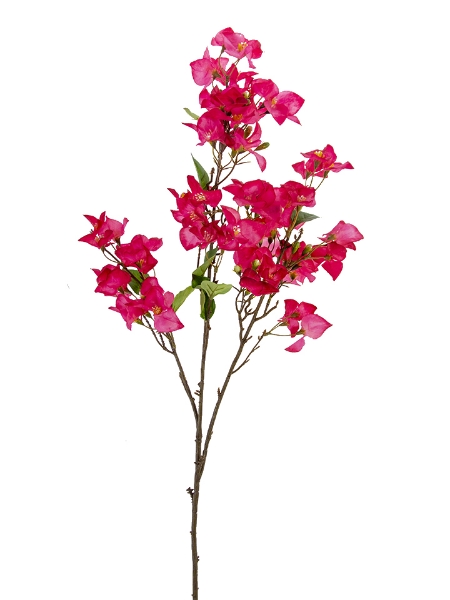 Picture of 42" BOUGAINVILLEA SPRAY