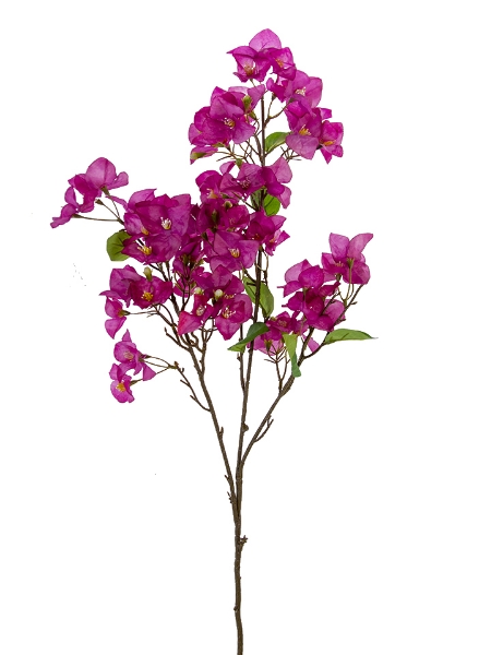 Picture of 42" BOUGAINVILLEA SPRAY