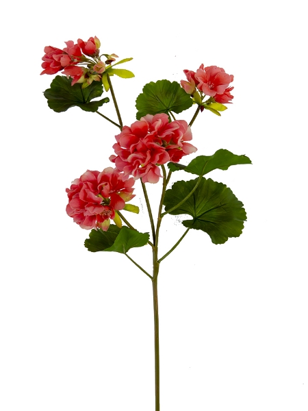 Picture of 26" GERANIUM SPRAY