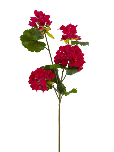 Picture of 26" GERANIUM SPRAY