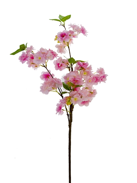 Picture of 36" CHERRY BLOSSOM