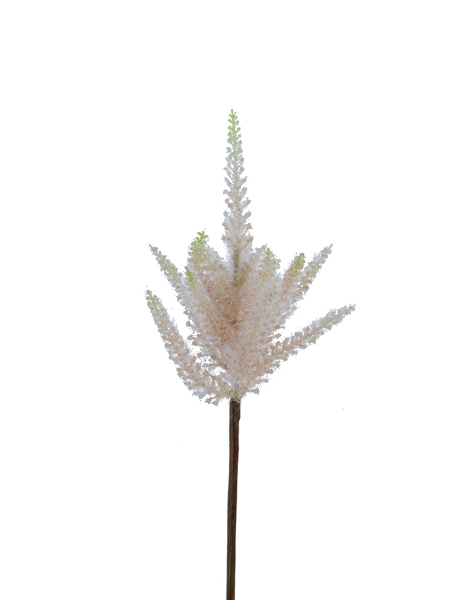 Picture of 19" ASTILBE SPRAY