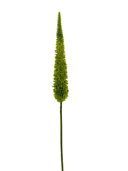 Picture of 44" FOXTAIL SPRAY