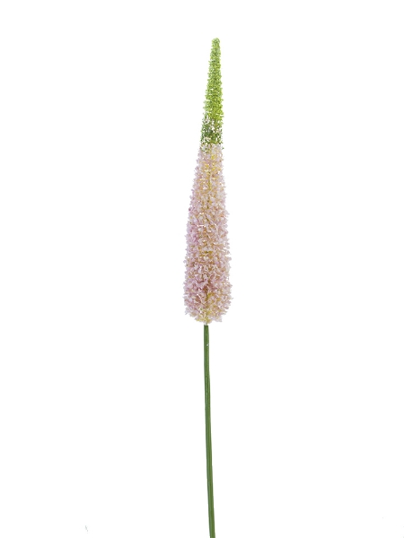 Picture of 44" FOXTAIL SPRAY