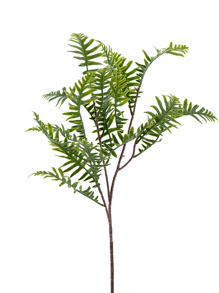 Picture of 30" KANGAROO FERN SPRAY